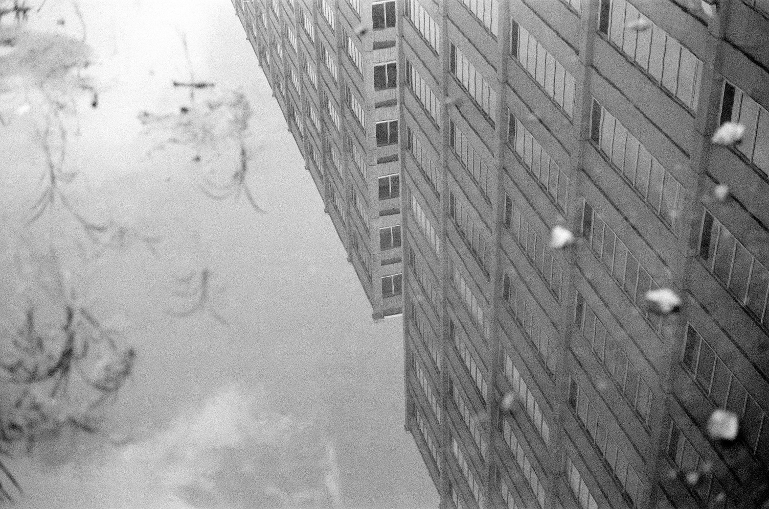 the reflection of
a big concrete block factory-turned-office building
in a large puddle.