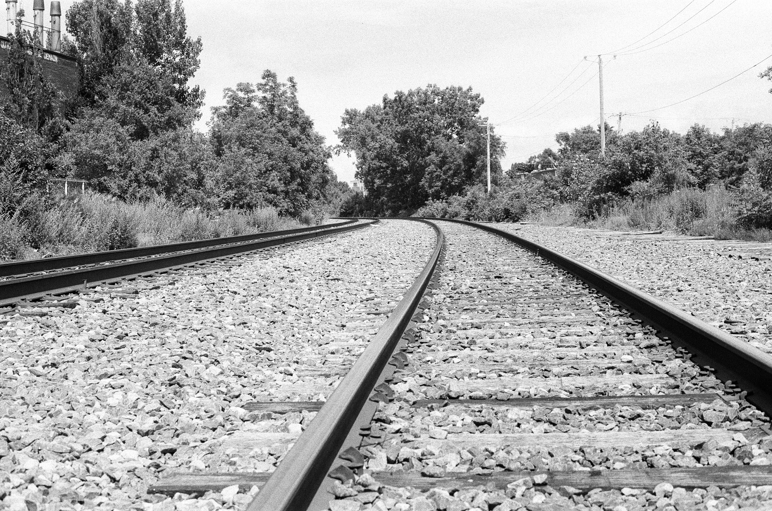 a view close to the ground
on some railroad tracks
right before they go around a bend.