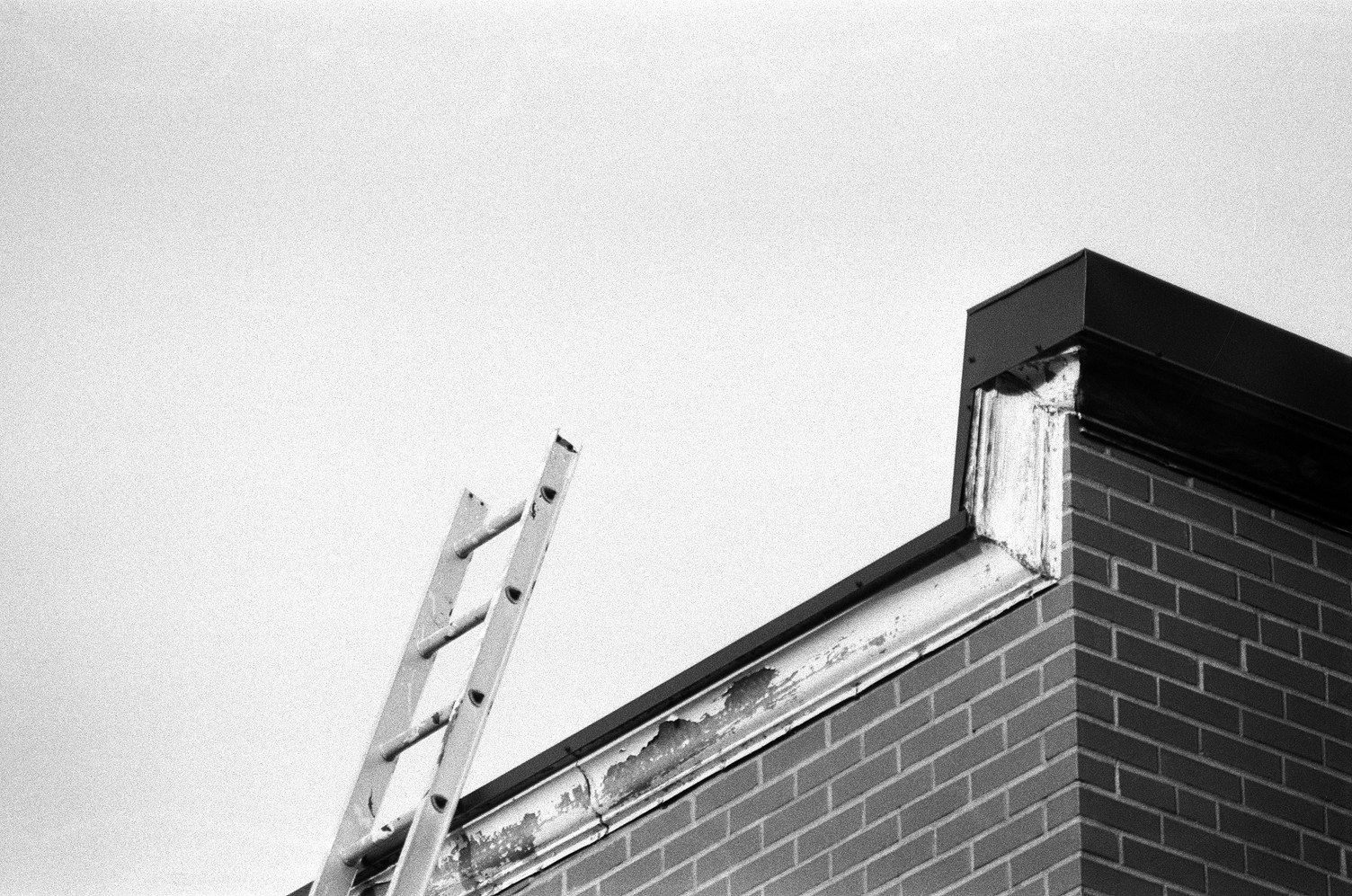 a ladder leading to the top of a roof
against the sky.
the ladder is quite a bit taller
than it needs to be
so it ascends into the sky
a little bit.