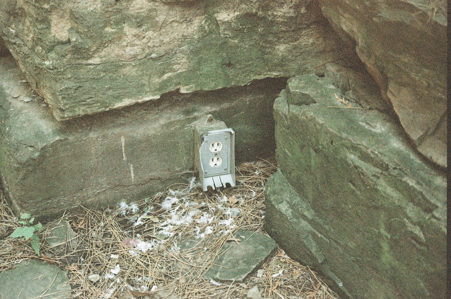 an outdoor electrical outlet
mounted on a big piece of stone,
nestled in a corner
made by other big pieces of stone.
there are pine needles and white fluff
on the ground in front of it.
its door has come off.