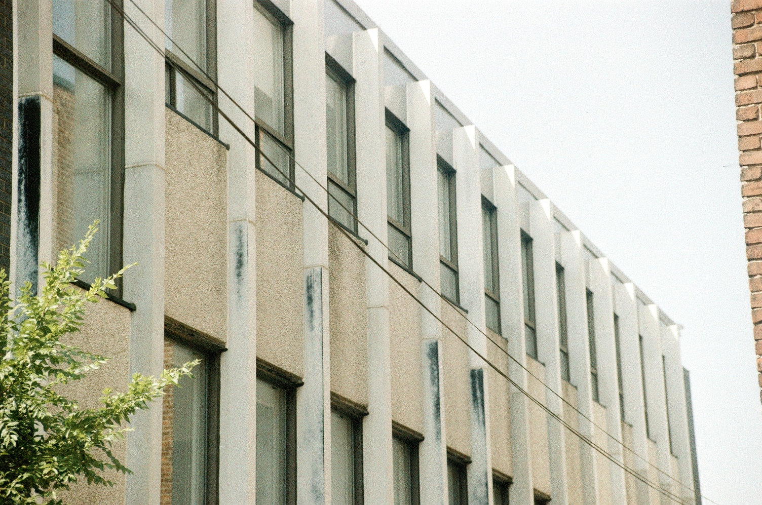 the back or side of a building,
probably a short office building,
with columns of windows
separated by uh,
protruding bits of the building.