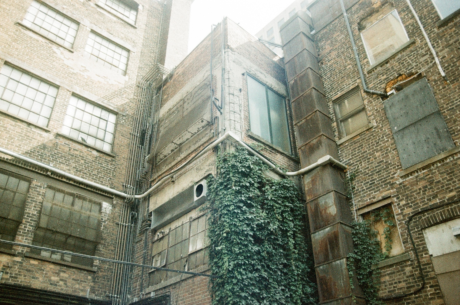 the intersection or interior corner
of old brick factory buildings.
we're sort of looking at a vertical W shape,
with two buildings on either side
at a right angle,
and one corner peice of building
jutting out between the other two.
the old factory windows
of these buildings
are in various states of boarded up
or filled in with concrete
or left as-is.
there are pipes and ducts and conduits
crawling all over the buildings.
the right side wall
of the middle building piece
is covered in leafy vines.
the middle section
is shorter than the others
and light is coming over top of it
hitting the leftmost building.