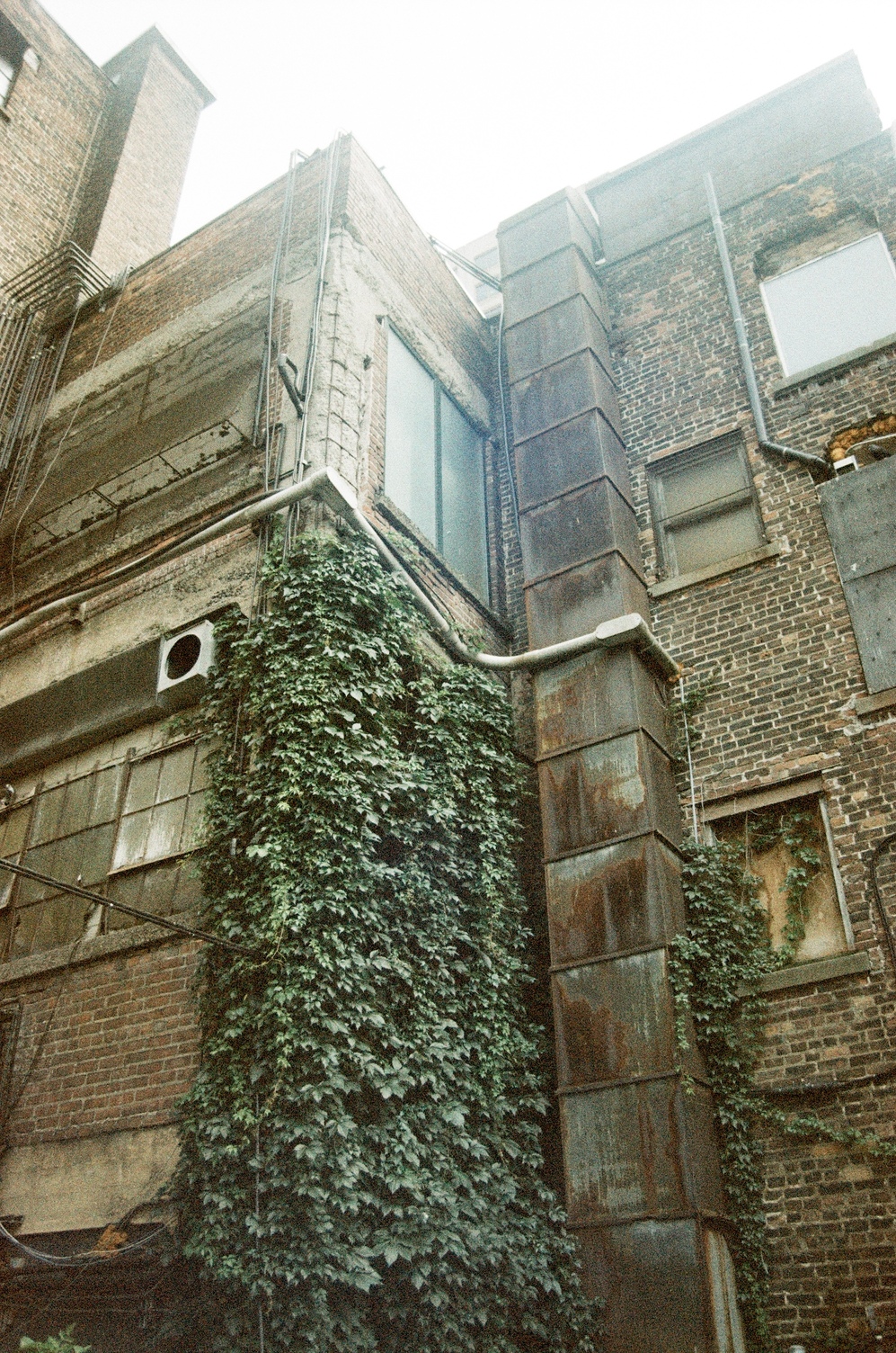 the intersection of some old brick factory buildings.
windows are variously boarded up or filled in.
one of the walls has leafy vines climbing up it,
stopping at a conduit that's going across.
a large duct goes up the building
next to the vines.
light is pouring over the top edge of the building.