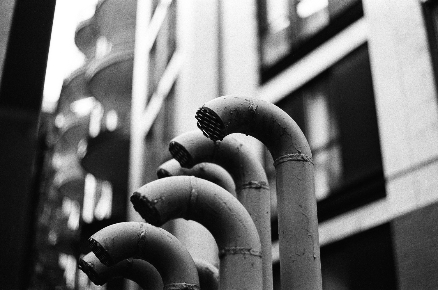 close up of a bundle of small pipes
that come up out of the ground
around person height
and curve downwards at the top,
with the ends covered by a rough metal mesh.