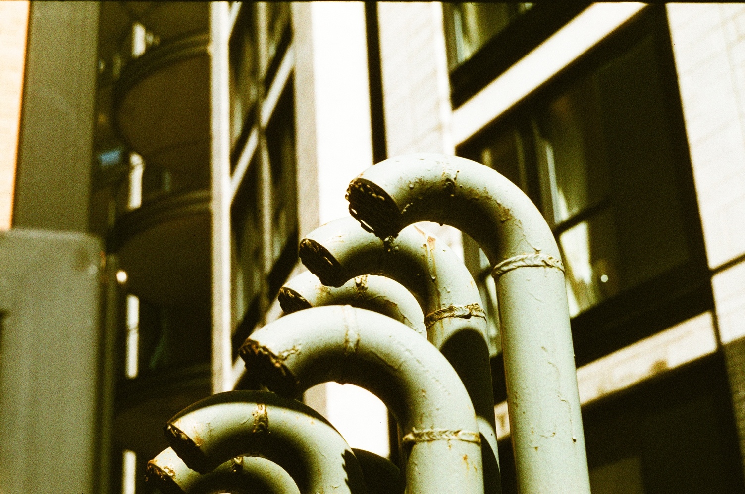 close up of a bundle of small pipes
that come up out of the ground around person height
and curve downwards at the top,
with the ends covered by a rough metal mesh.
they're sort of pale greenish coloured.