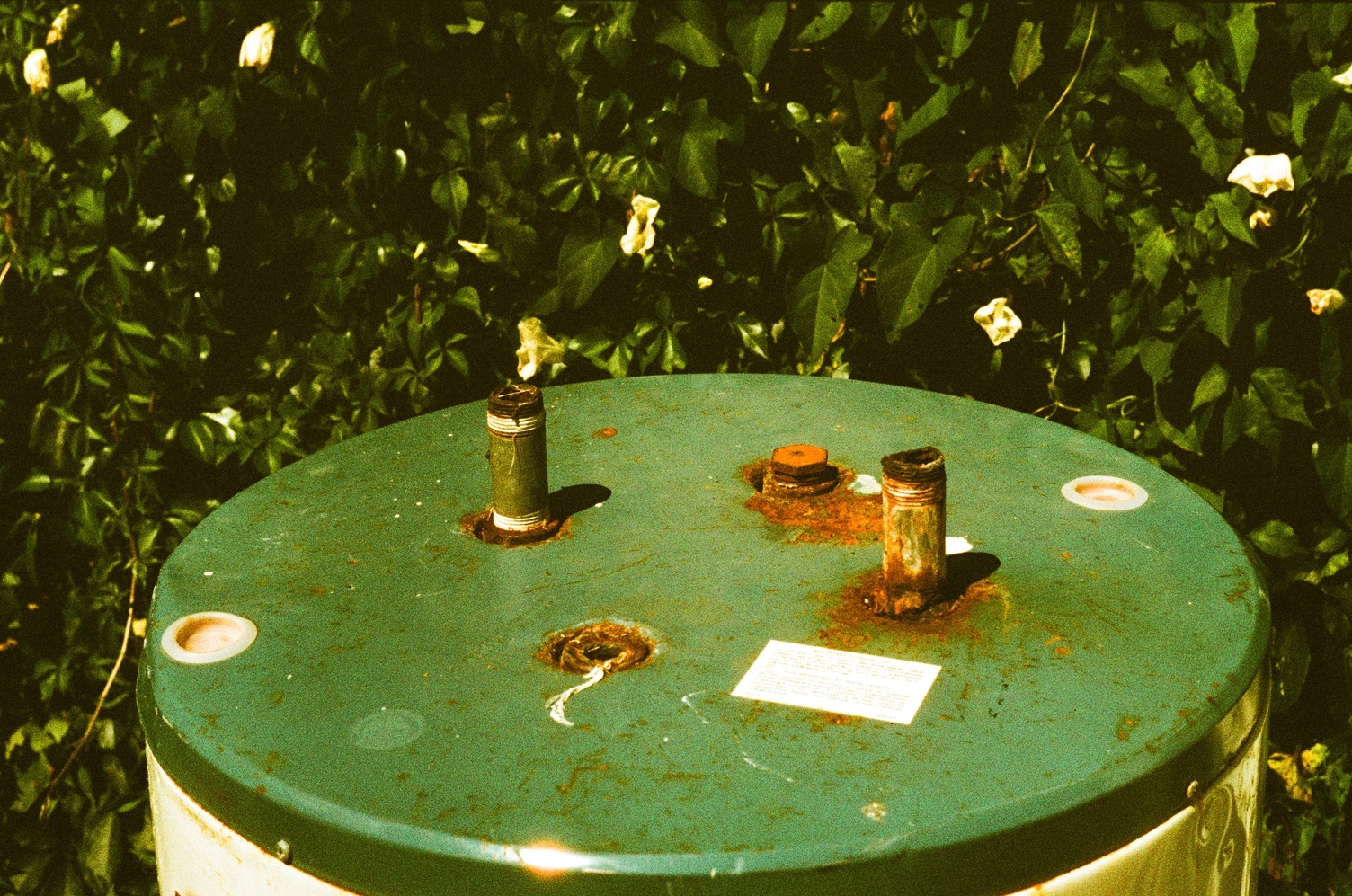 the top of a discarded hot water tank
with two severed pipes coming out.
the top appears green,
though it may have been blue.