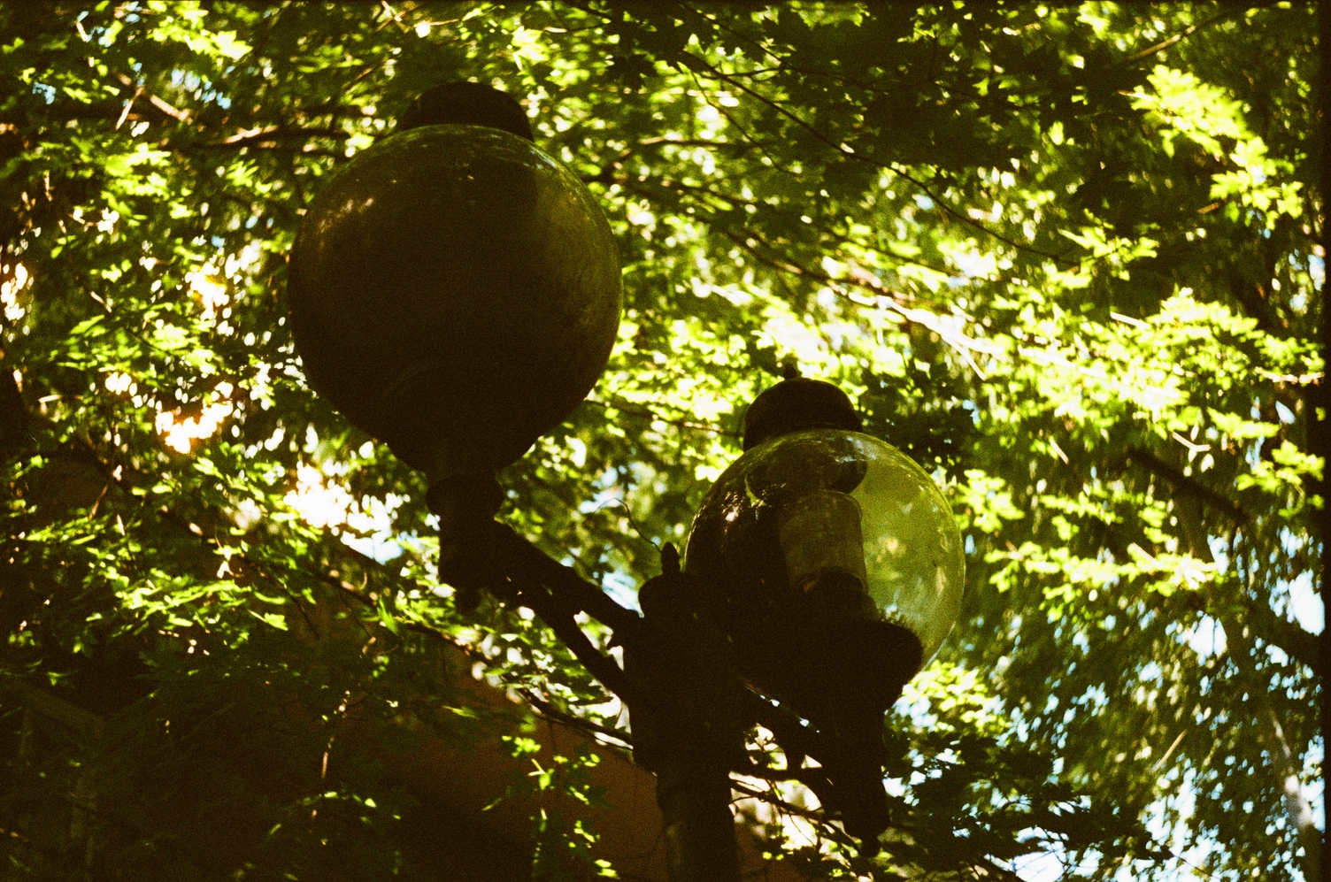 a street lamp in an alley
under the shade of a tree
with two large spherical lamps.