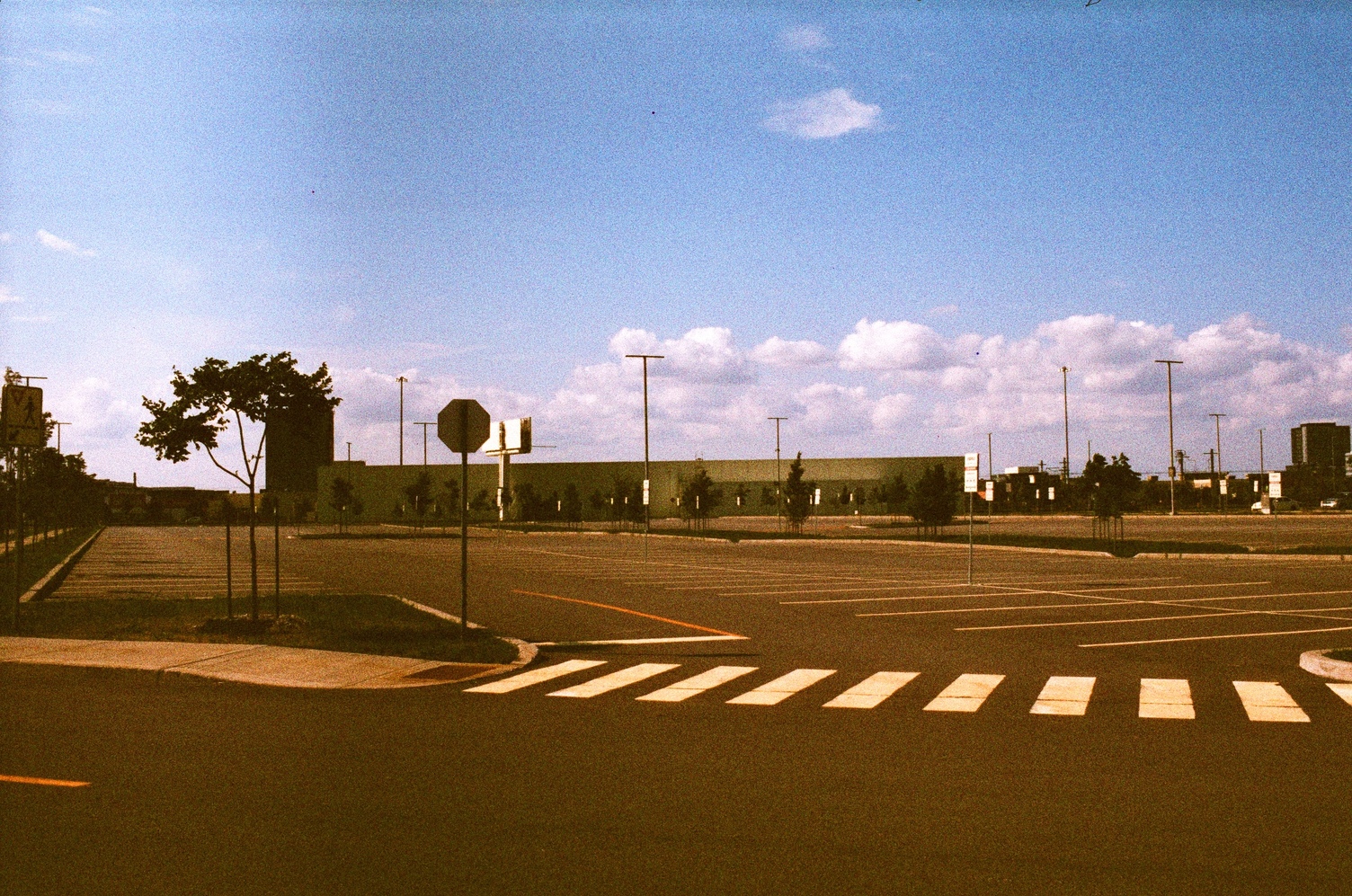 a vast and empty parking lot
under a blue sky with clouds in the distance.
the parking lot extends at an angle
away from a crosswalk in the foreground.
behind the lot is a large shed.