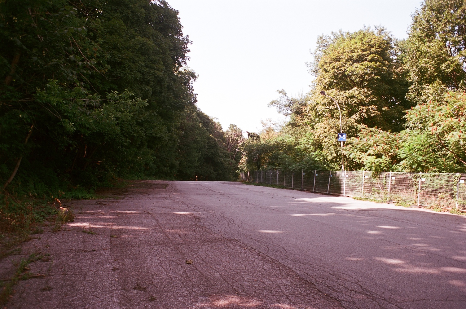 a completely empty bit of
road or parking lot
surrounded by trees,
curving away and downward in the distance.
on one side,
behind construction fences,
there's a tall street light
with a blue P-5 sign attached.