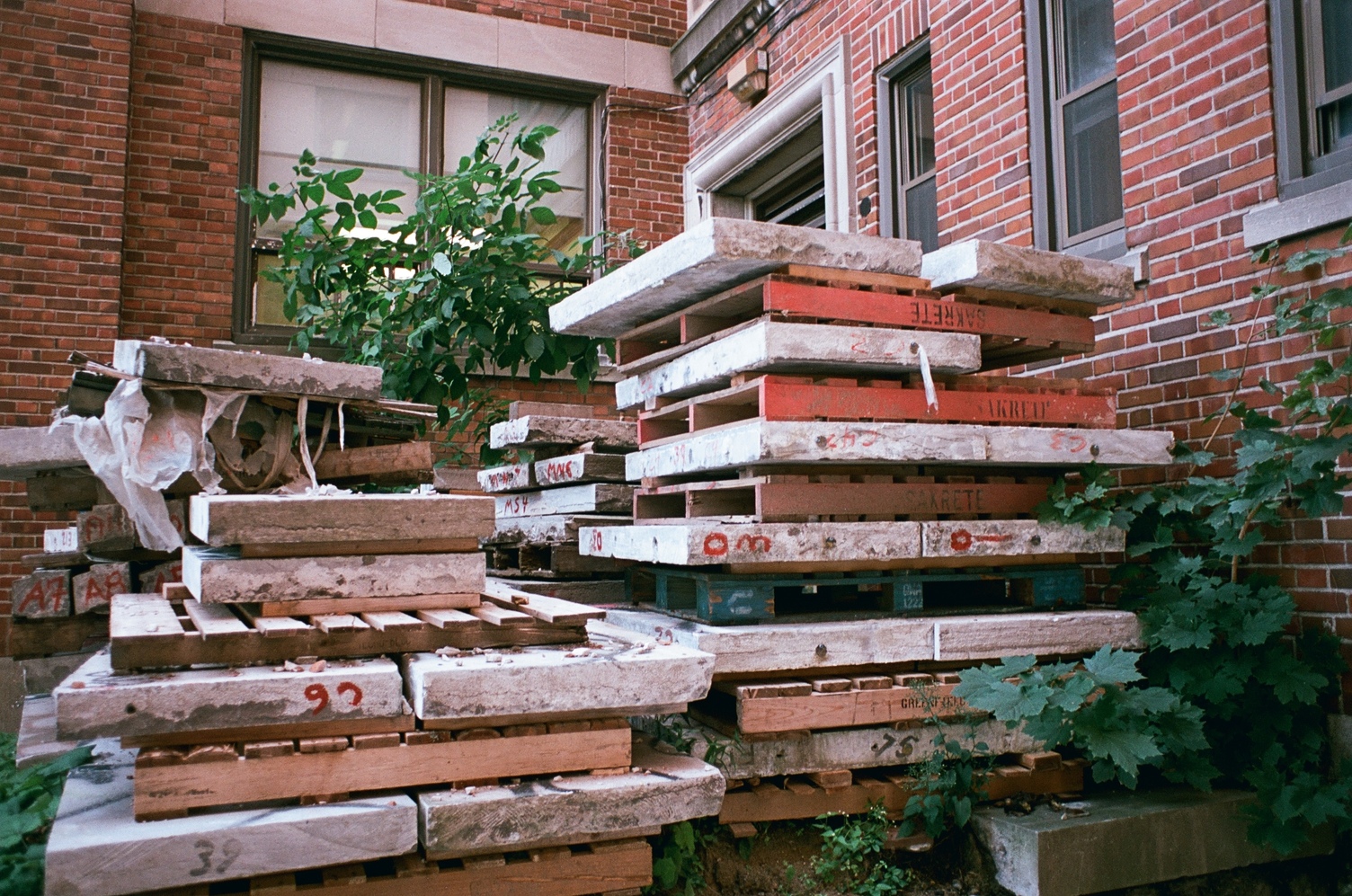 a pile of palettes stacked with slabs of stone
sitting at the side of a brick building.
based on how plants are growing around them,
they haven't been touched in a while.