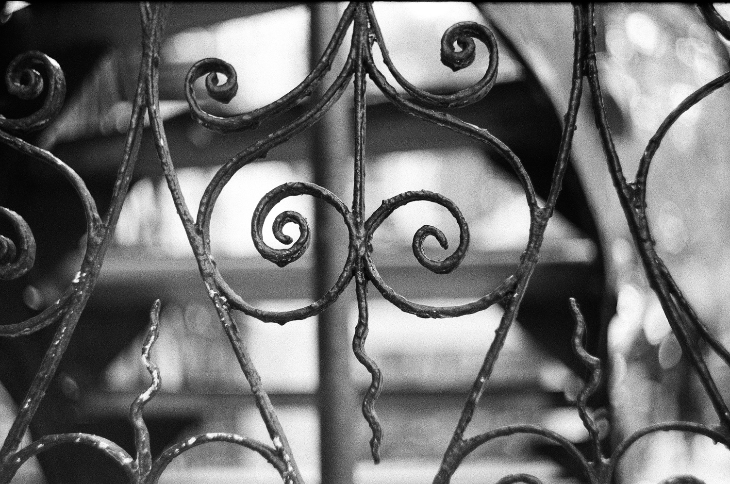 wrought iron fence detail.
it's got swirly bits
and squiggly pointy bits.