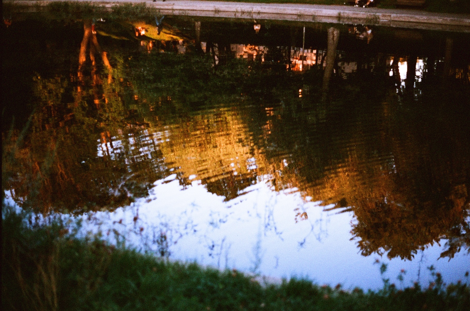 reflection of trees and sky
in water with ripples
at early evening.