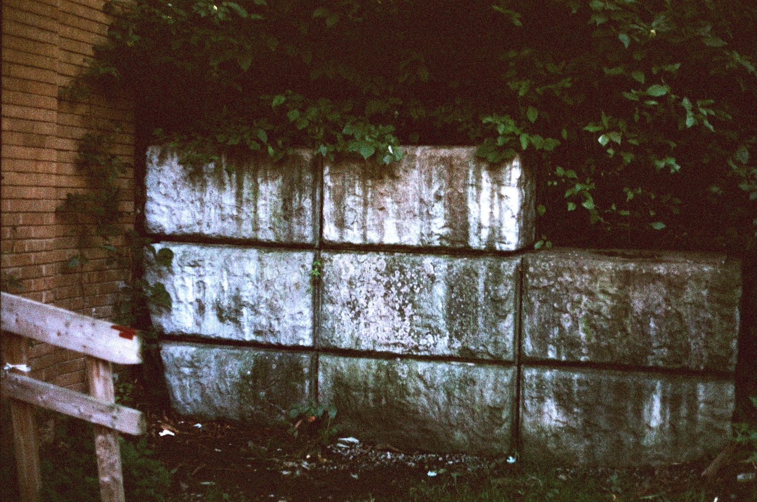 rough concrete blocks
stacked 3 by 3 except
the top right one is missing.
they're heavily weathered
and have trees overhanging them.