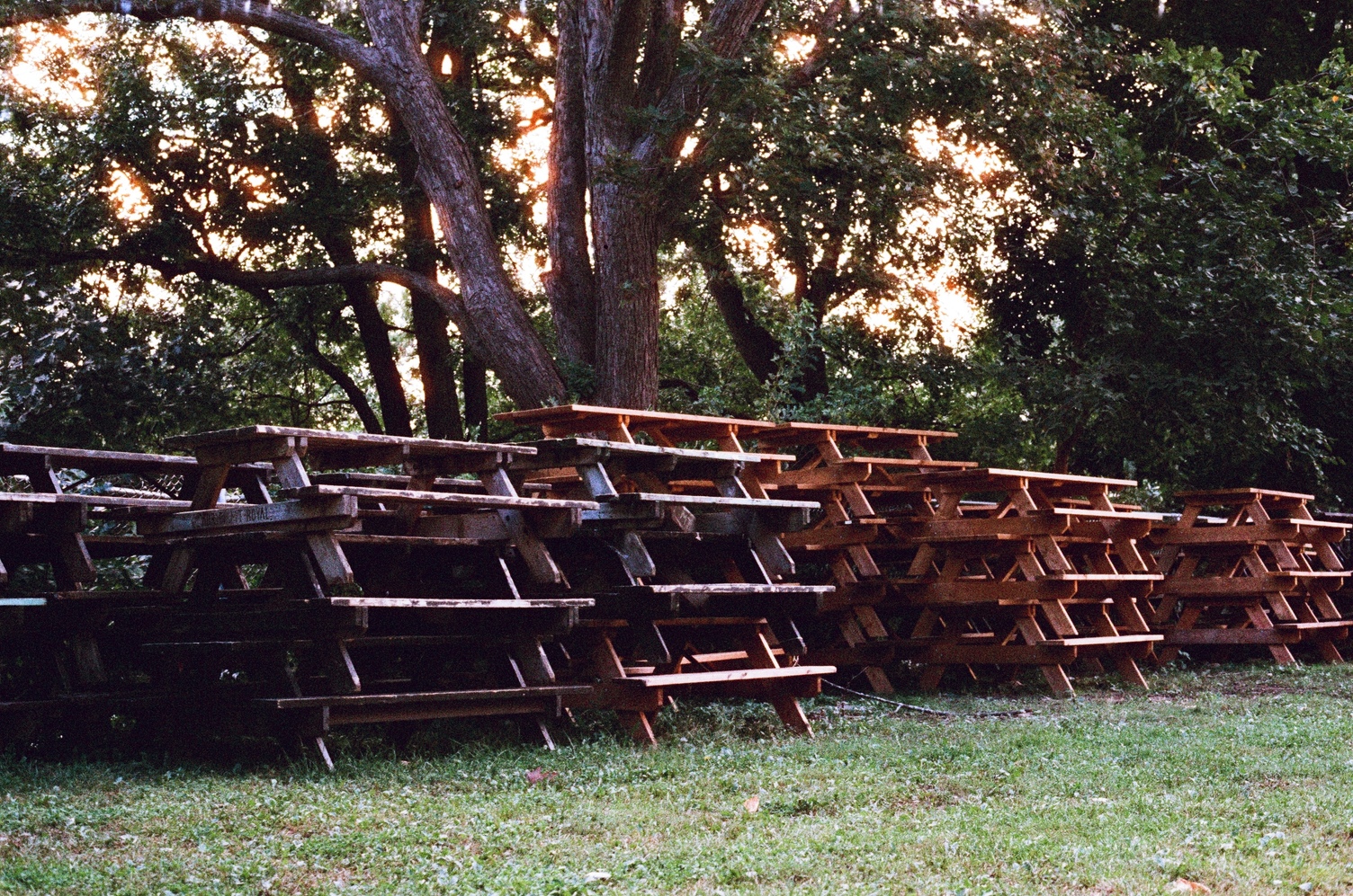 numerous stacks of wooden picnic tables
on a lawn of grass in front of some trees.
most of the stacks are piled three high,
some four.
the light coming through the branches and leaves
of the trees in the background is glowing gold.