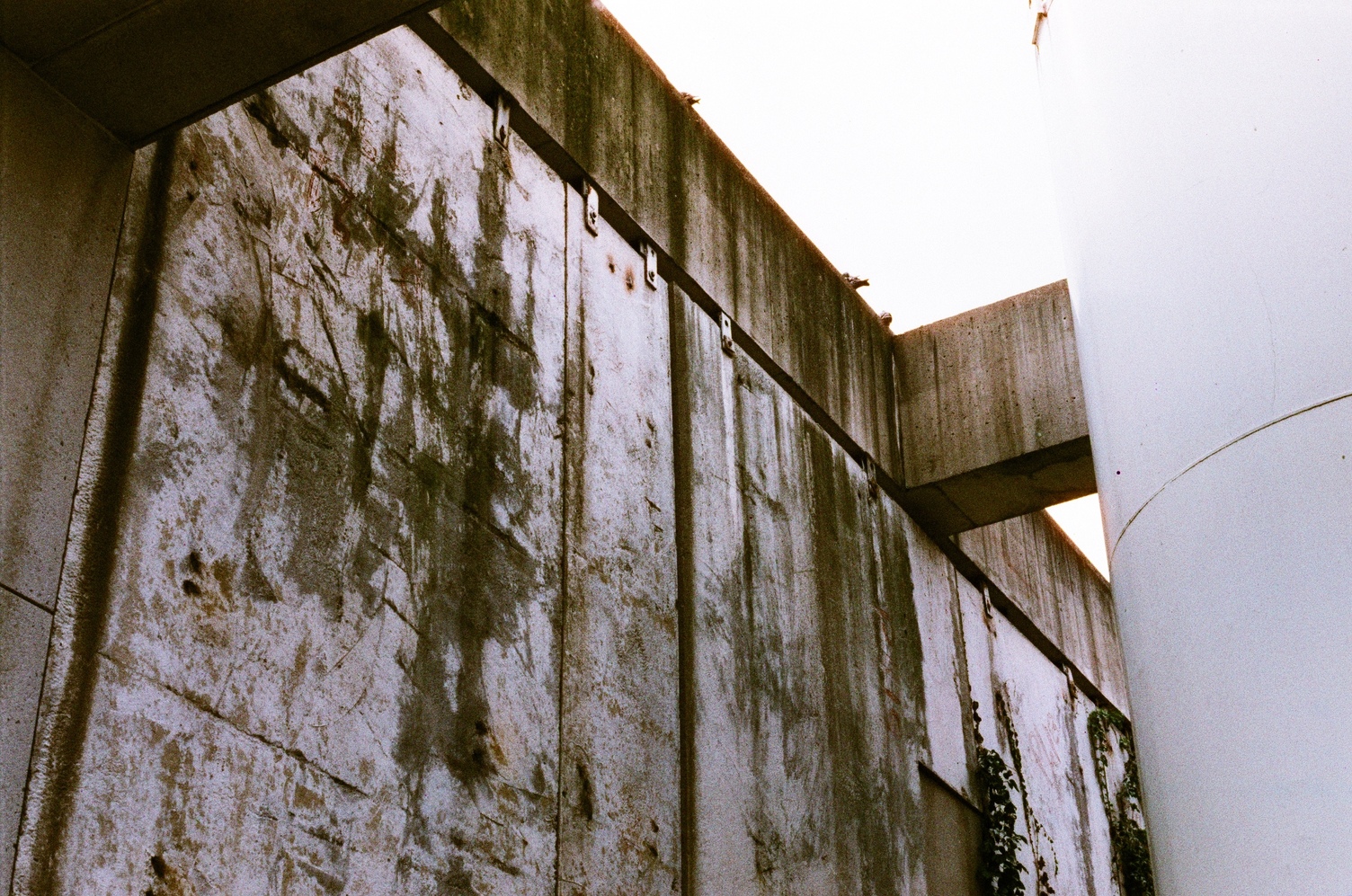 the wall of some kind of concrete structure
surrounding a big white metal tank.
I think the wall is actually metal,
but the outline of the structure is concrete.
it's got a lot of interesting marks and texture on it.
it's very hard to describe.