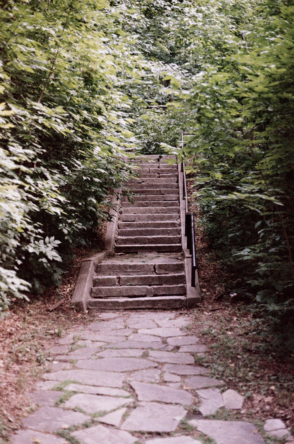 a stone path
leading towards
stone steps leading up
surrounded by trees.