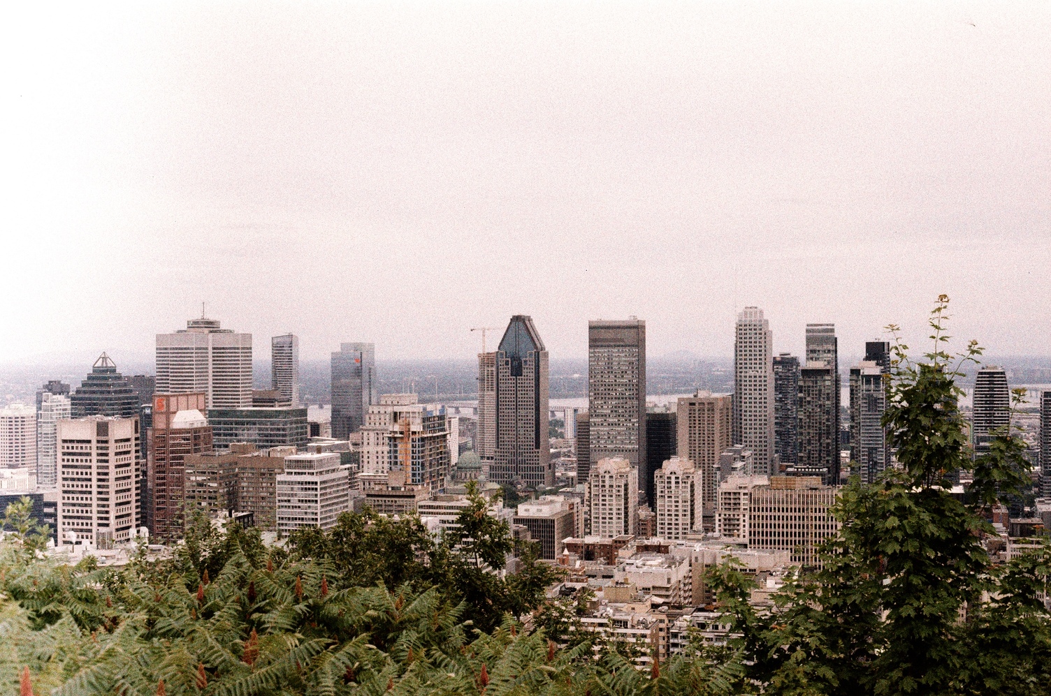 a view of the montreal skyline
from the lookout on the mountain.
the sky is white.
there is so much film grain.