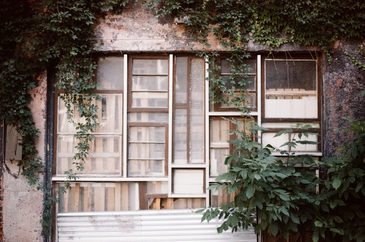 a mismatched arrangement
of rectangular window panes
in a space roughly the size
of a garage door.
it is being slowly reclaimed
by vines and bushes.