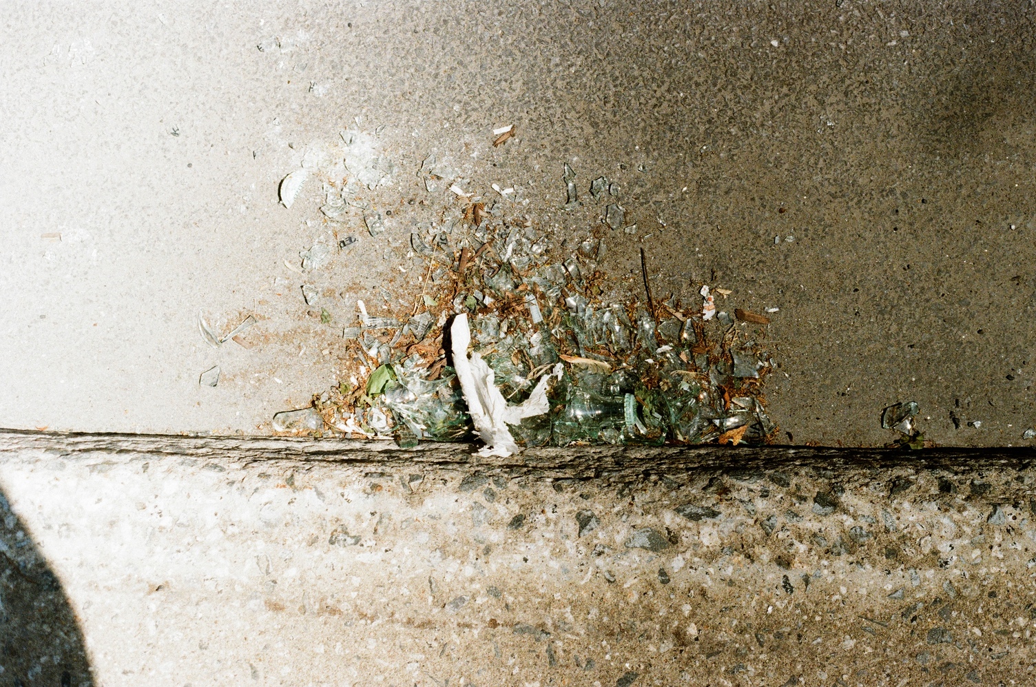 a smashed glass bottle
on the curb.
there are dead leaves
and a tissue mixed in there.