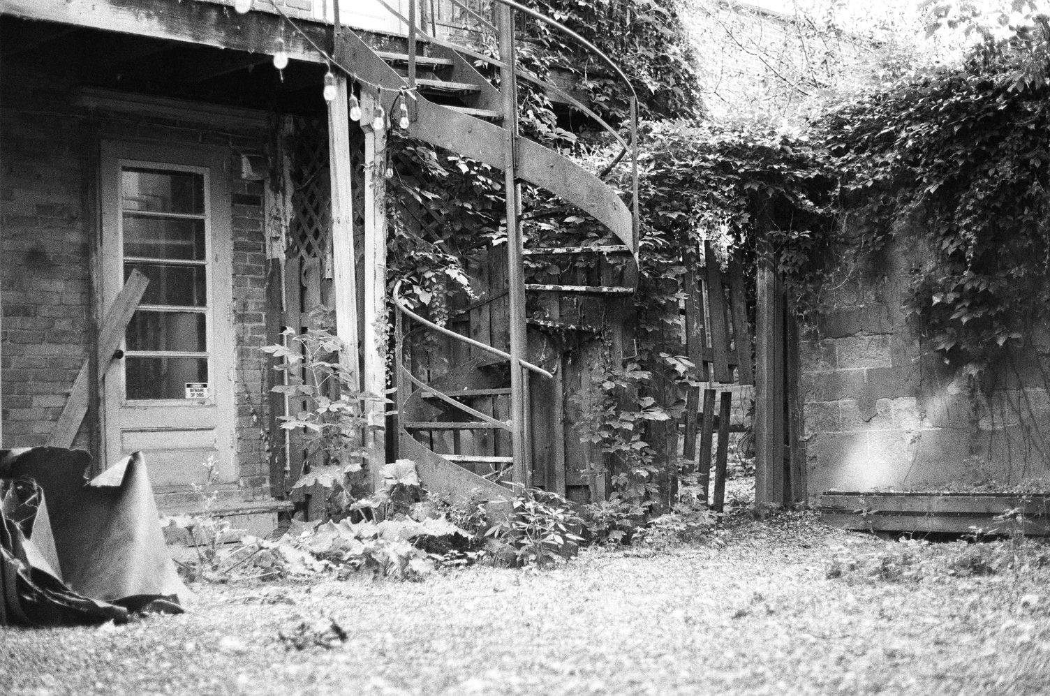 a backyard with spiral staircase
descending into it,
a wooden fence
and brick dividing wall,
lights hanging between
the staircase and somewhere unseen.
the back door
has a small "beware of dog" sign
in the bottom corner.