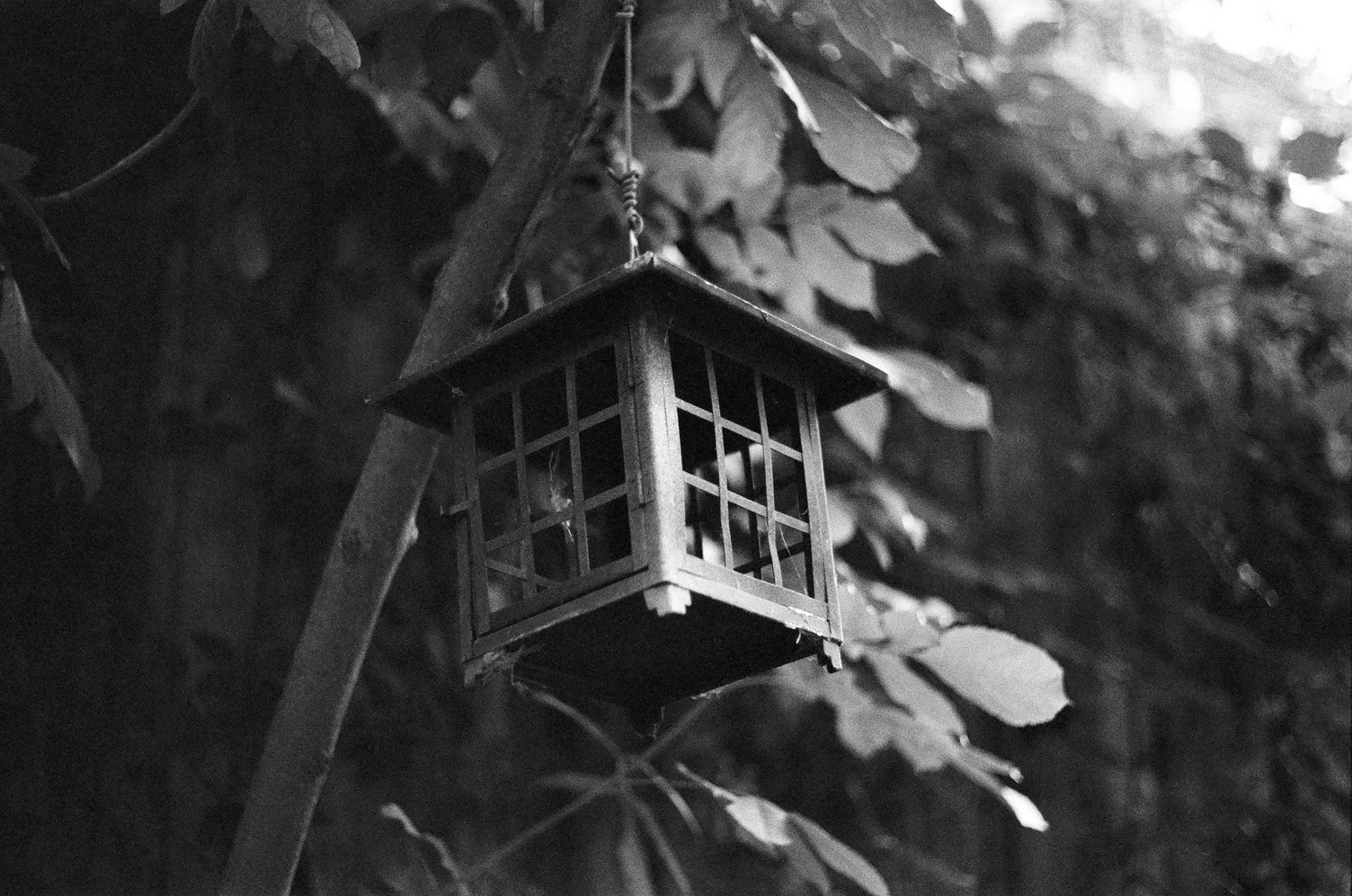 a little lantern house thing
hanging from a tree,
viewed from the corner.