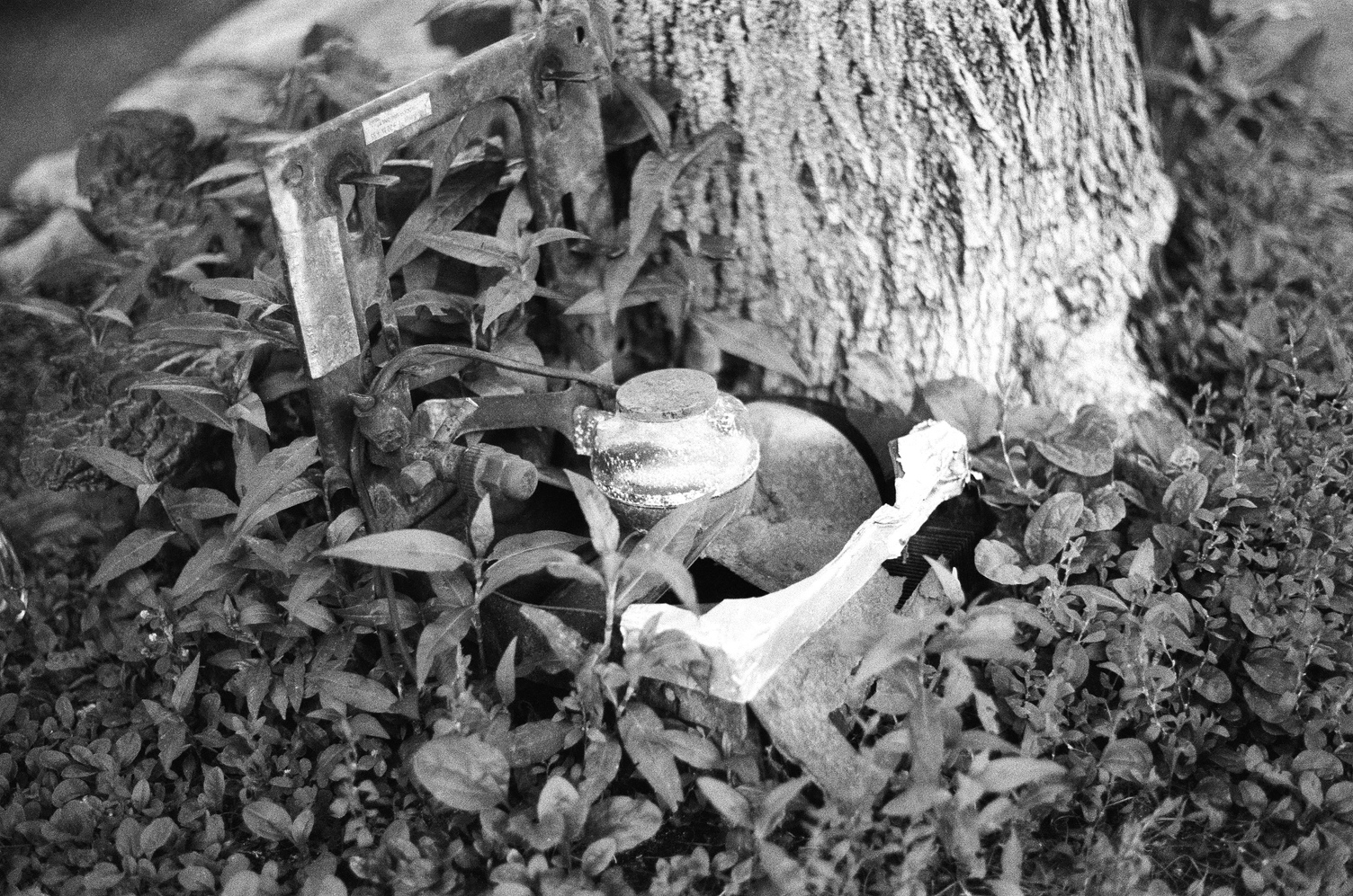 some piece of broken mechanical equipment
lying on the ground next to a tree
among little plants.