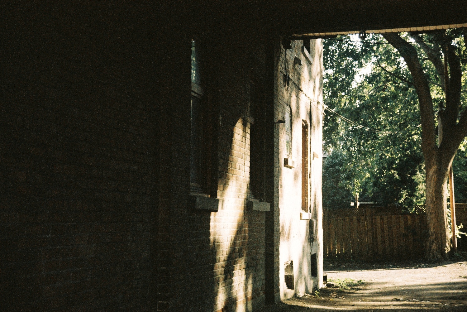 a covered driveway under a building.
the near wall is in shadow
but the sun is playing nicely on the far part,
out from the covered portion.
beyond is a tree and a wooden fence.