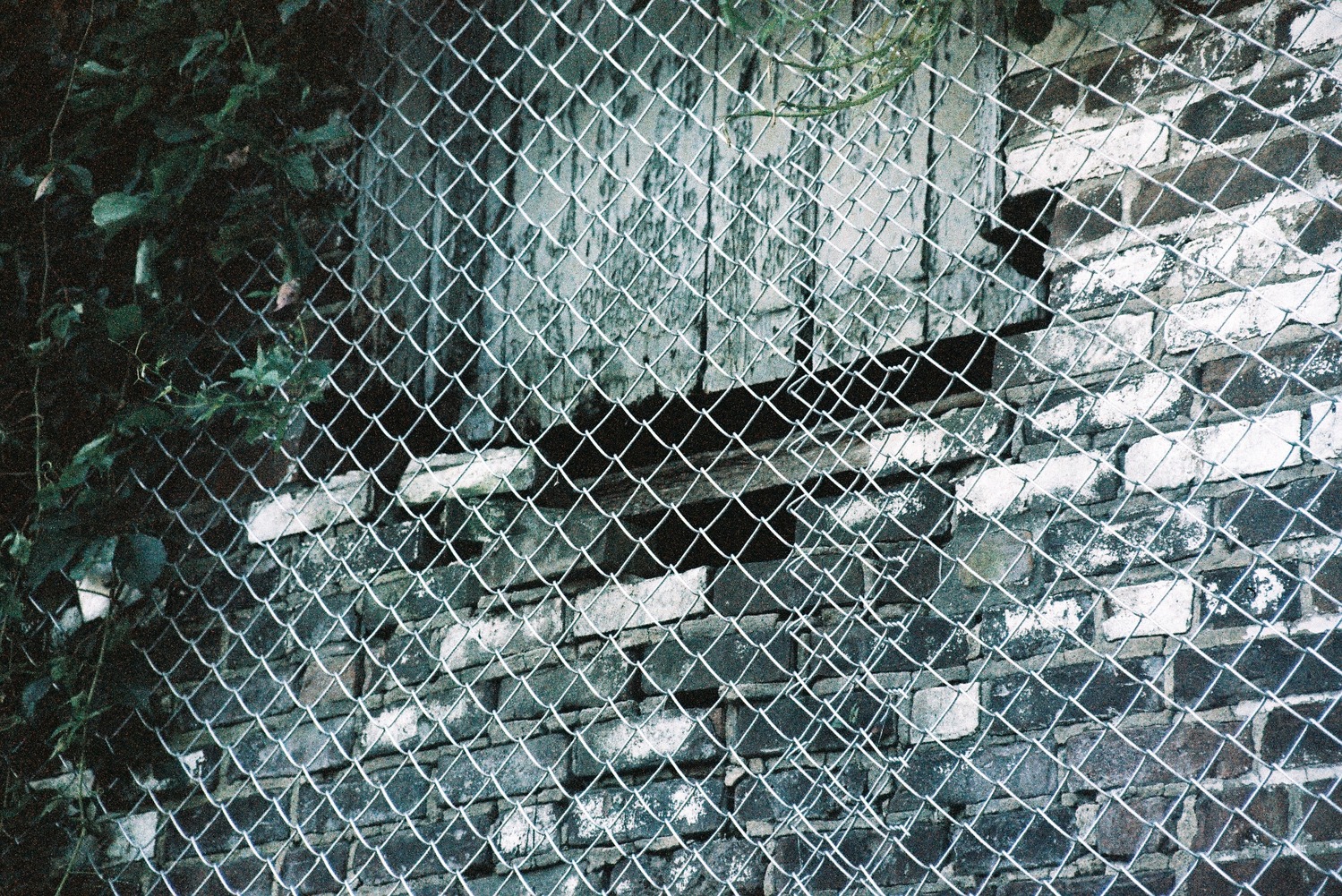 a brick wall that has a hole in it,
which is covered by wooden planks,
except bricks are missing from below it,
and generally don't seem to be holding together.
all of that behind a chain link fence right in front of it.