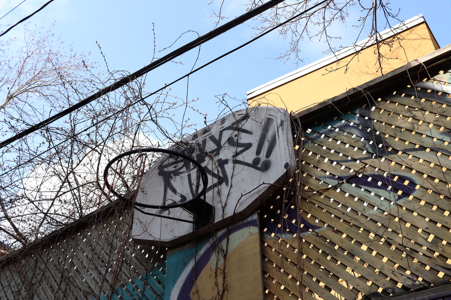 an old backetball hoop mounted in an alley.
the backboard has been graffitied
and vines have invaded.
a few red strands of net are left hanging from the hoop.
the fence behind is painted with a design of yellow, purple, white and blue.
it's the kind of hoop airbud might be hanging around.