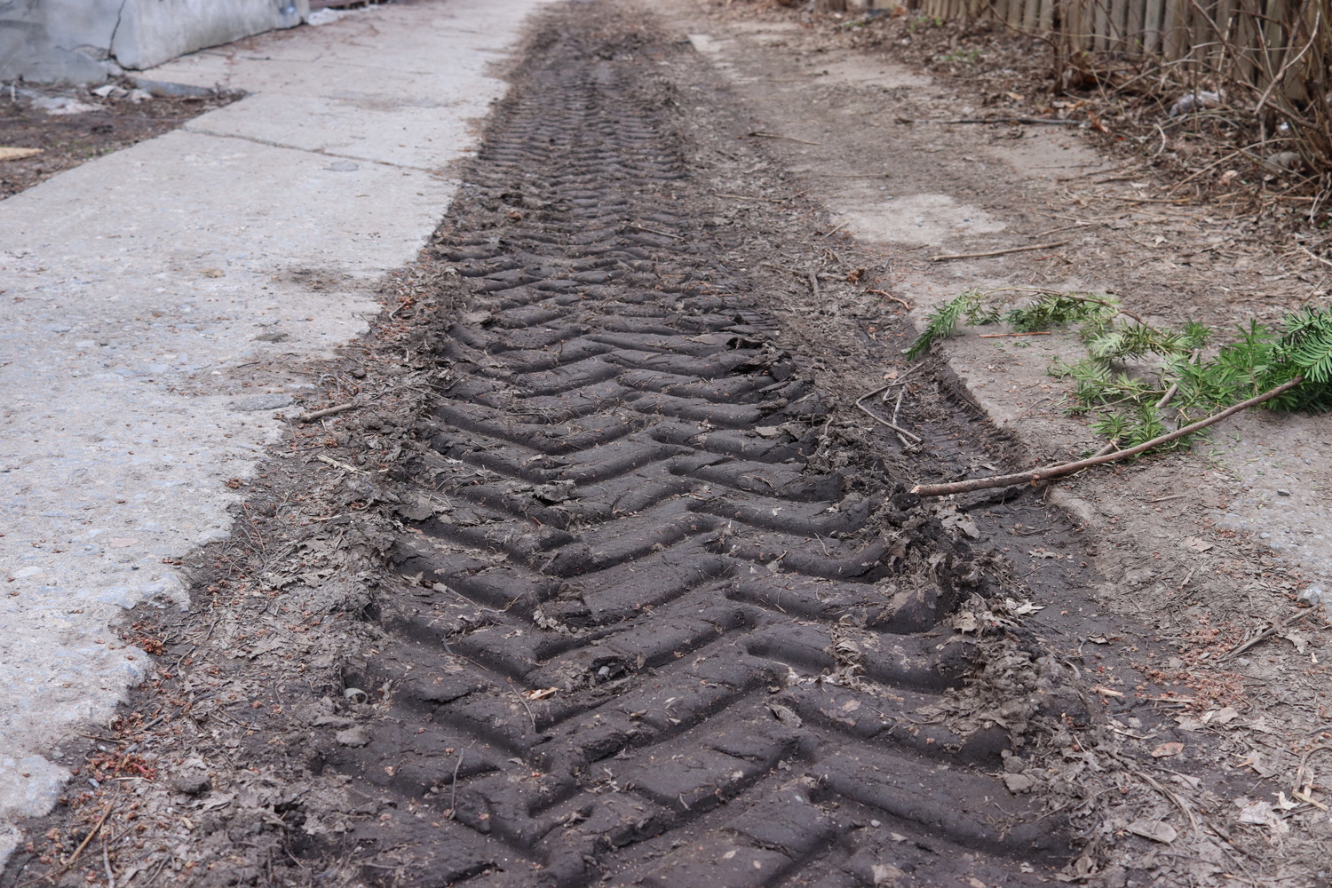 deep tire tread pressed into mud in the center of an alley.
a small branch of evergreen lies to one side.
