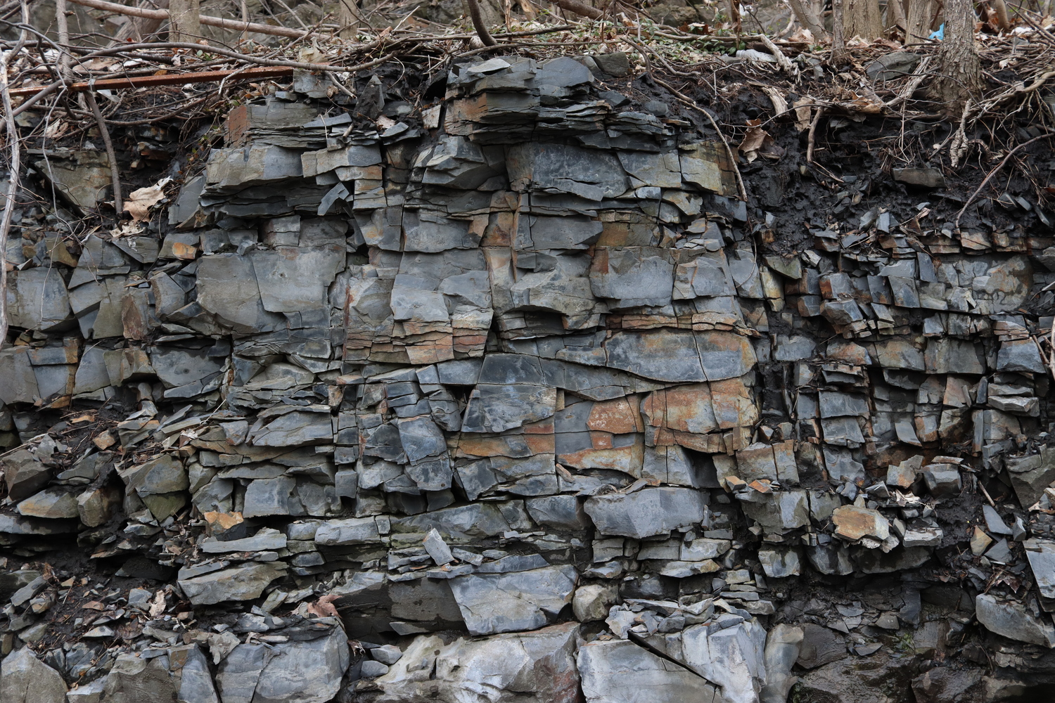 a short wall of natural rock,
all broken up somewhat neatly
along horizontal and vertical lines.
most of the rock is cool grey,
while some parts are warm brown.