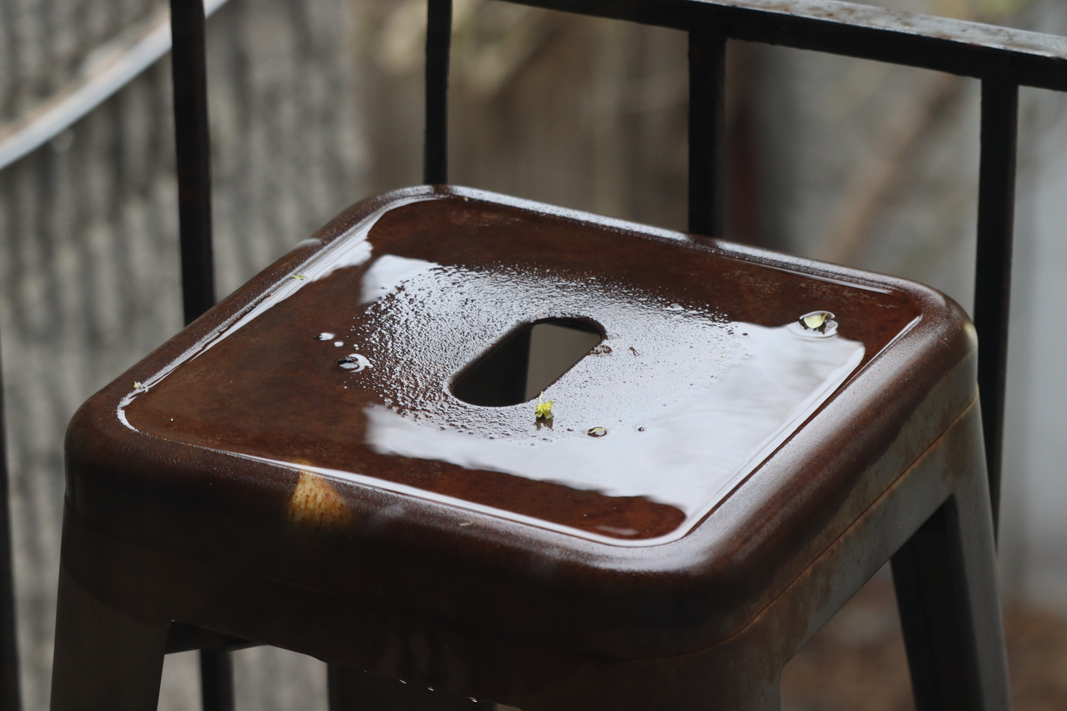 the seat of a rusted metal stool out in the way
with a shallow pool of water on it.
in the center is a handle-shaped hole,
which is raised slightly,
causing the water to pool further
around the edges.
there is a single fallen light green tree bud
just near the hole.
