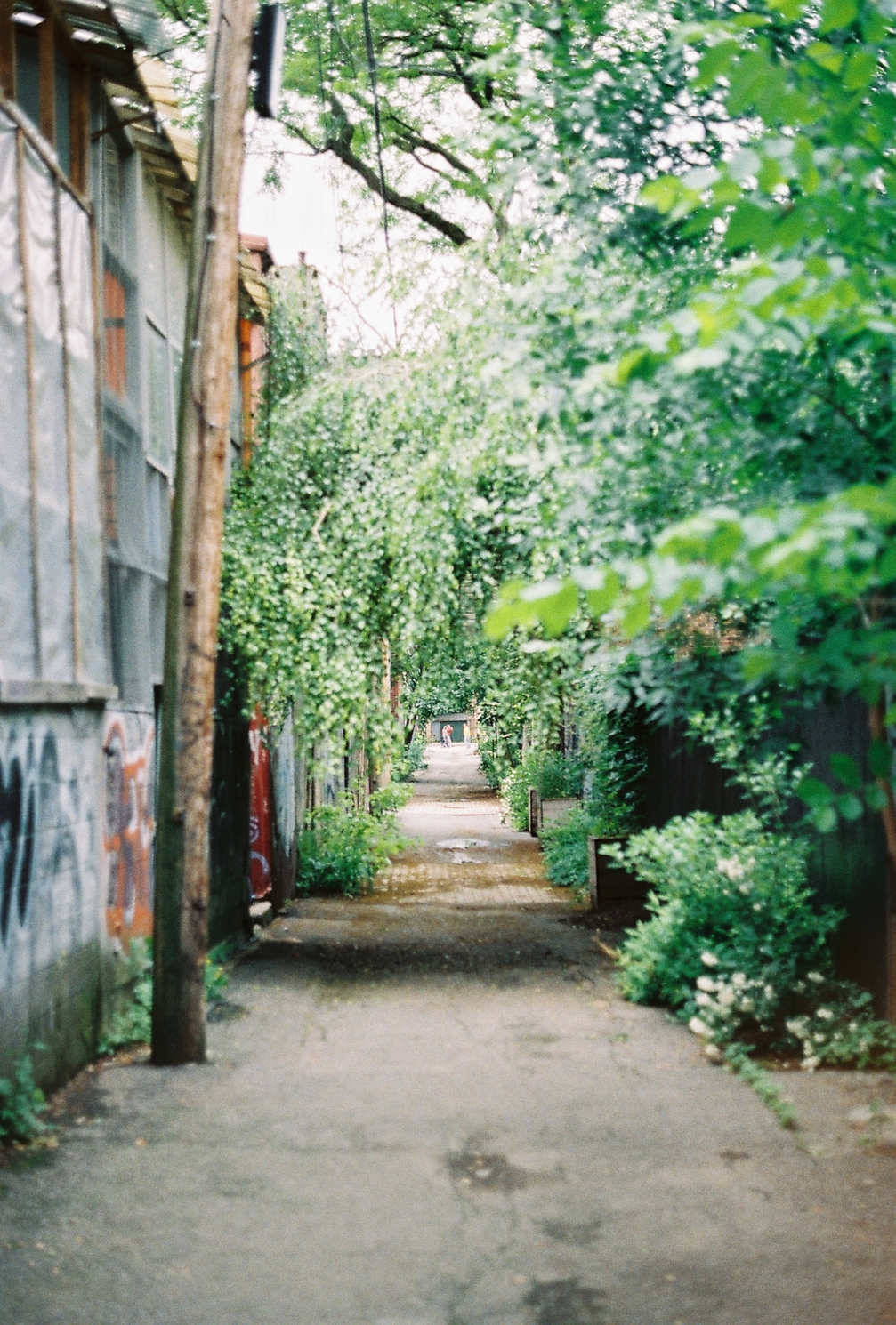 a view down an alley
with the backs of buildings on the left
and greenery on the right and above.
right at the end of the alley
some people are walking past.
the top of the frame is over-exposed.
the lens is focused at infinity
down the length of the alley,
which gives an interesting effect.