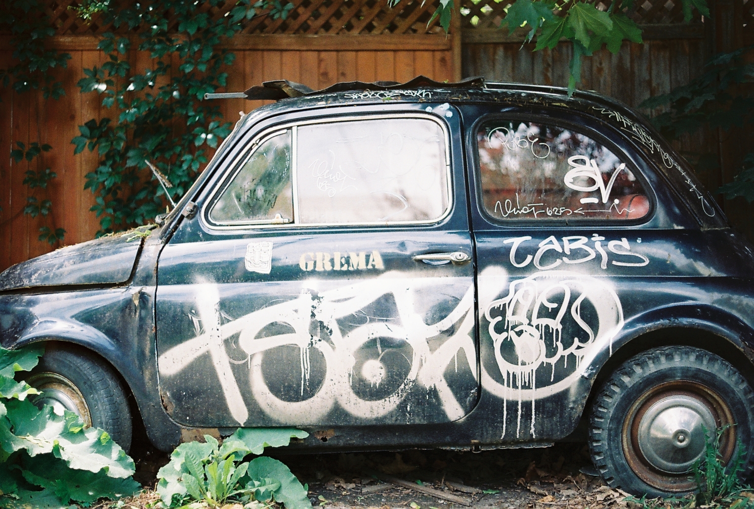 the side of a weird old
presumably european
tiny car that's been rotting
in an alley for who knows how long.
the car is painted black
and there's a bunch of graffiti in white
on the door and back side
as well as the window.
on the door next to the handle
there's a stenciled "GREMA".
behind the car is a wooden fence
with some deep green vines.