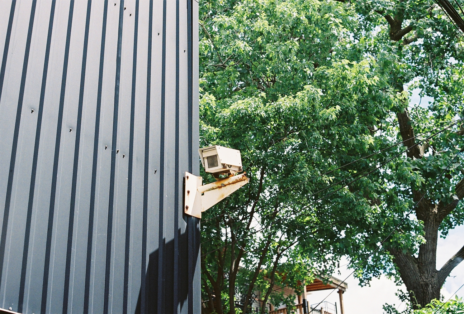 an old friend:
a boxy security camera
mounted on the corner of
a black corrugated metal wall.
lots of green trees behind it.