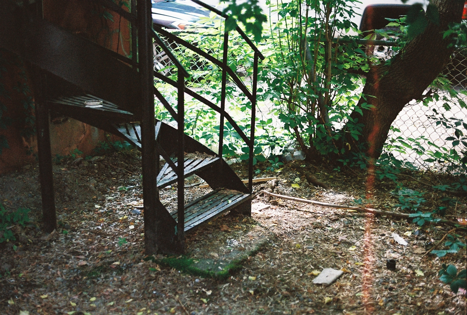 the bottom of a spiral fire escape
black metal stair.
there's a piece of stone or concrete
at the bottom
with green moss growing on its edges.
the surrounding ground
is covered in dead leaves and such.
there's a peculiar orange-ish
mark that runs down
the middle right side of the frame
and wanders back and forth a little.
don't know what's up with that
and this is the only shot
on the roll with it.