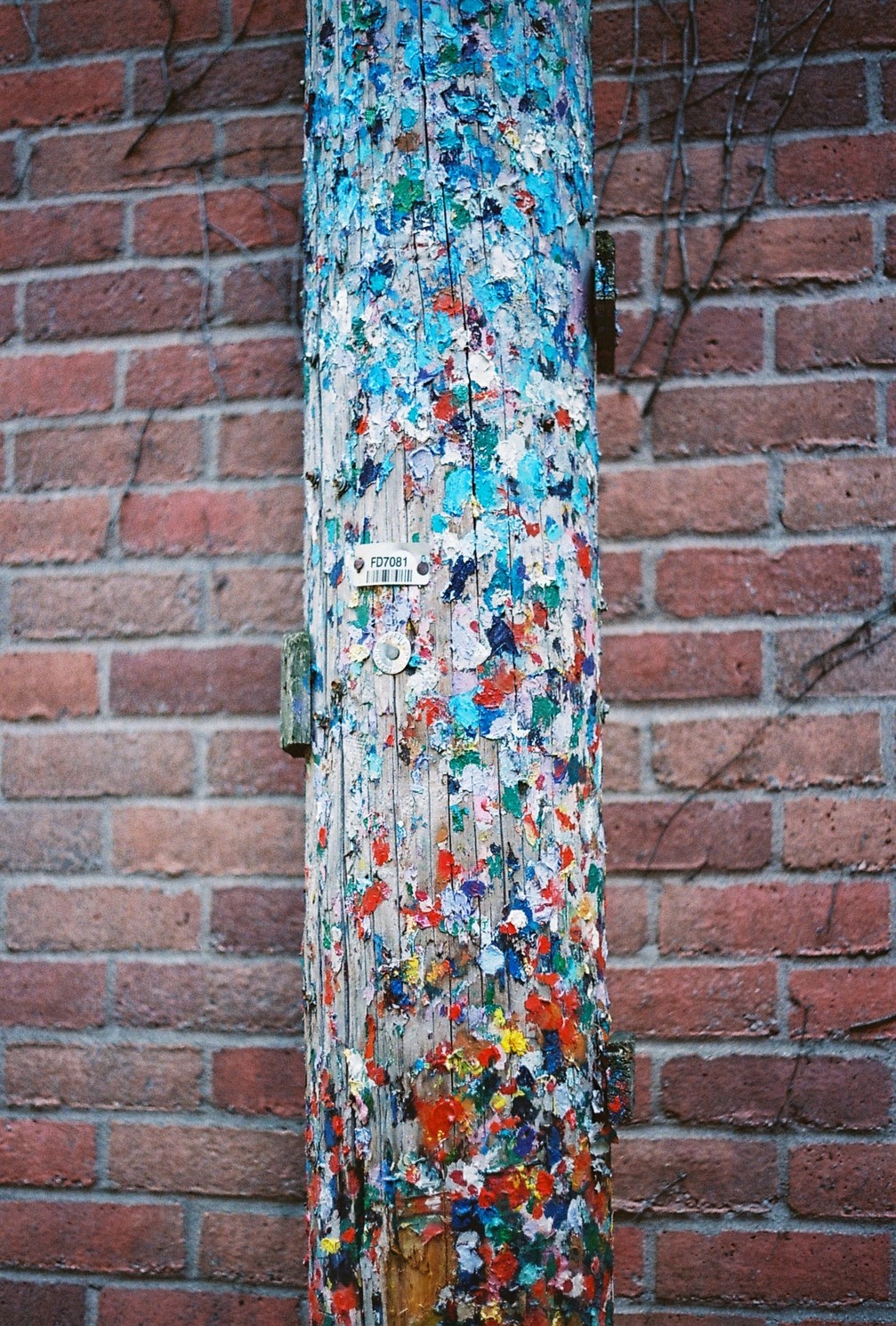 a telephone pole covered in paintball paint
(I assume)
in front of a brick wall.
towards the bottom
there are more red spots
and towards the top
there are more blue.