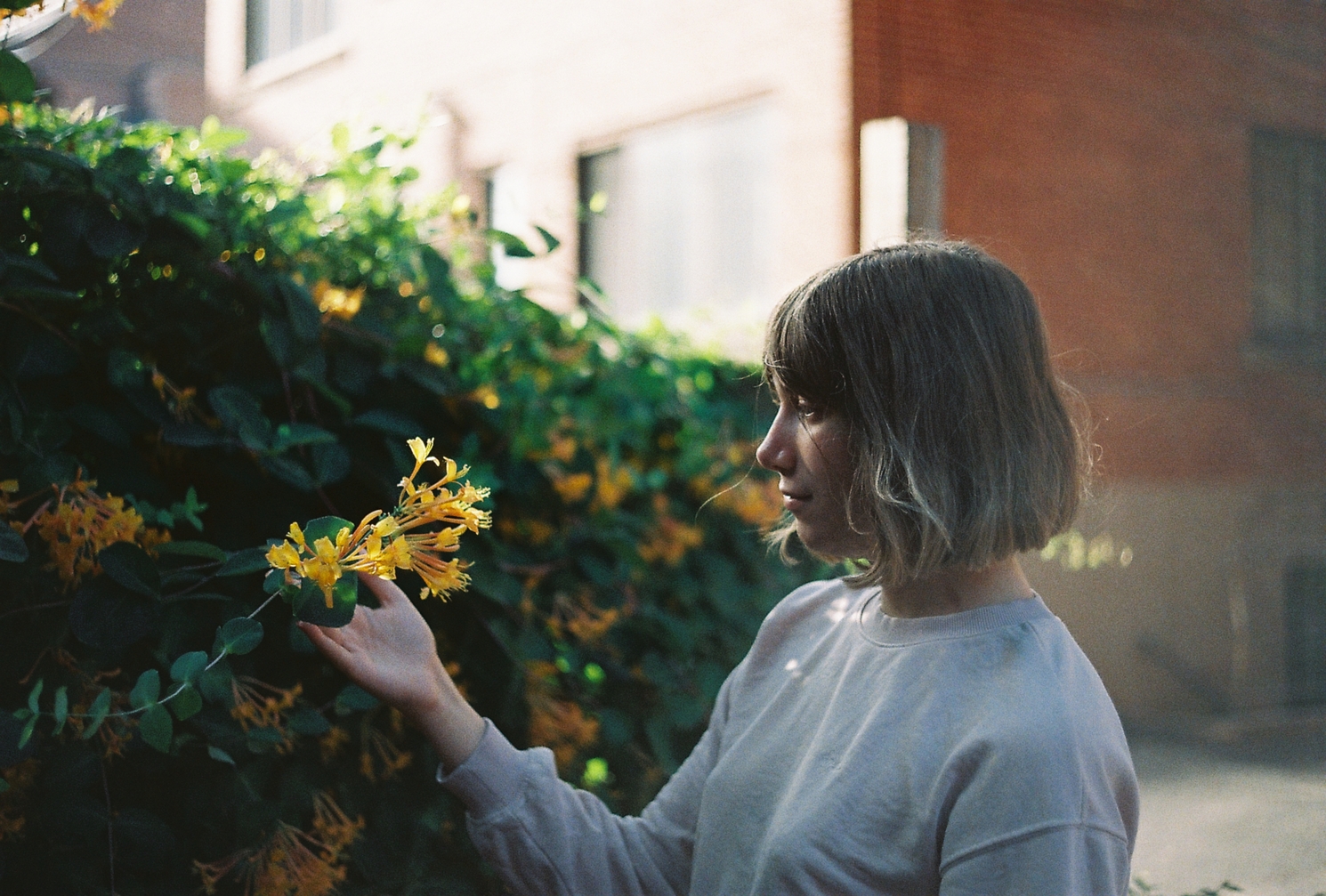 Ayla outside in stark lighting
as the sun was just starting to set,
looking at some yellow long flowers
growing on a large bush.